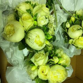 fwthumb2014-07-12 07.42.37.jpg